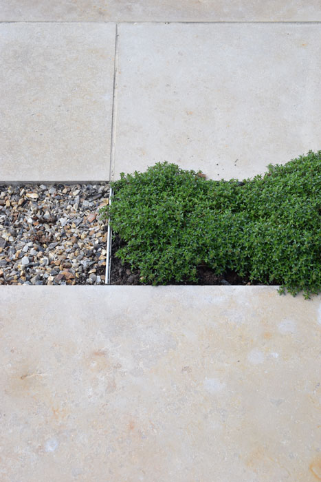 Thyme and gravel to aid drainage